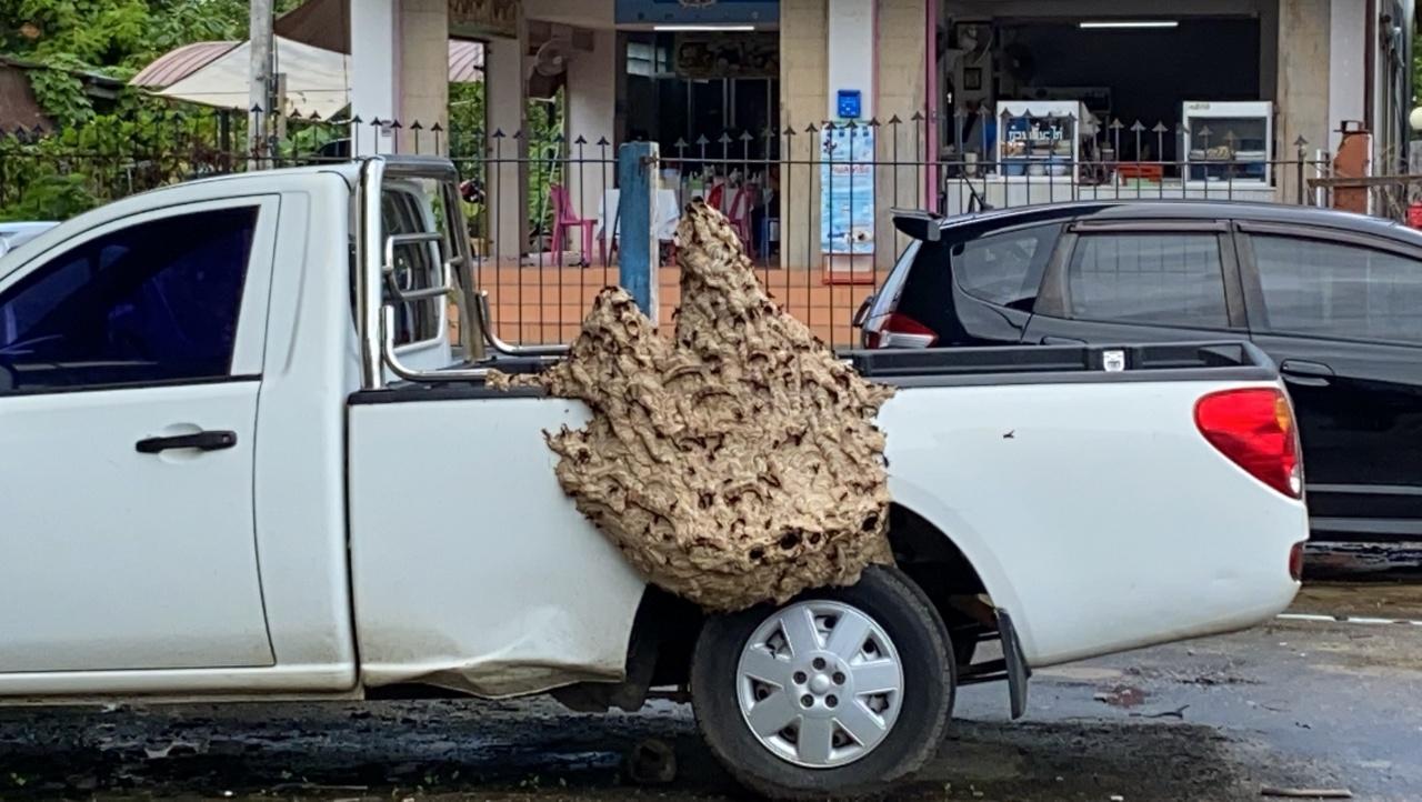 ข่าวหวย