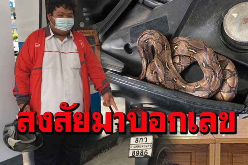 ข่าวหวย