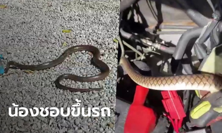 ข่าวหวย