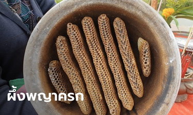 ข่าวหวย