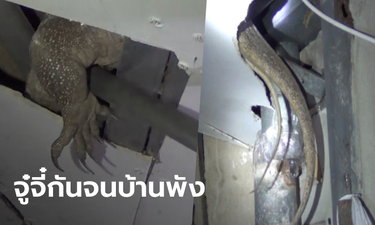 ข่าวหวย