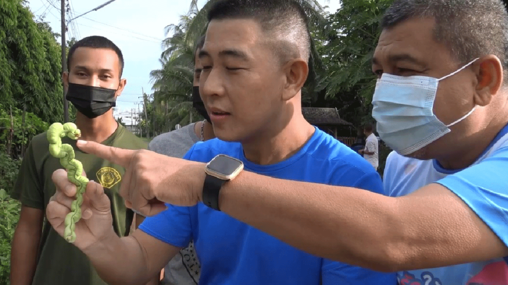ข่าวหวย