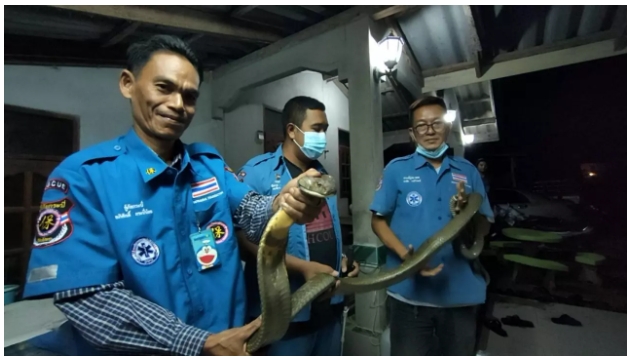 ข่าวหวย