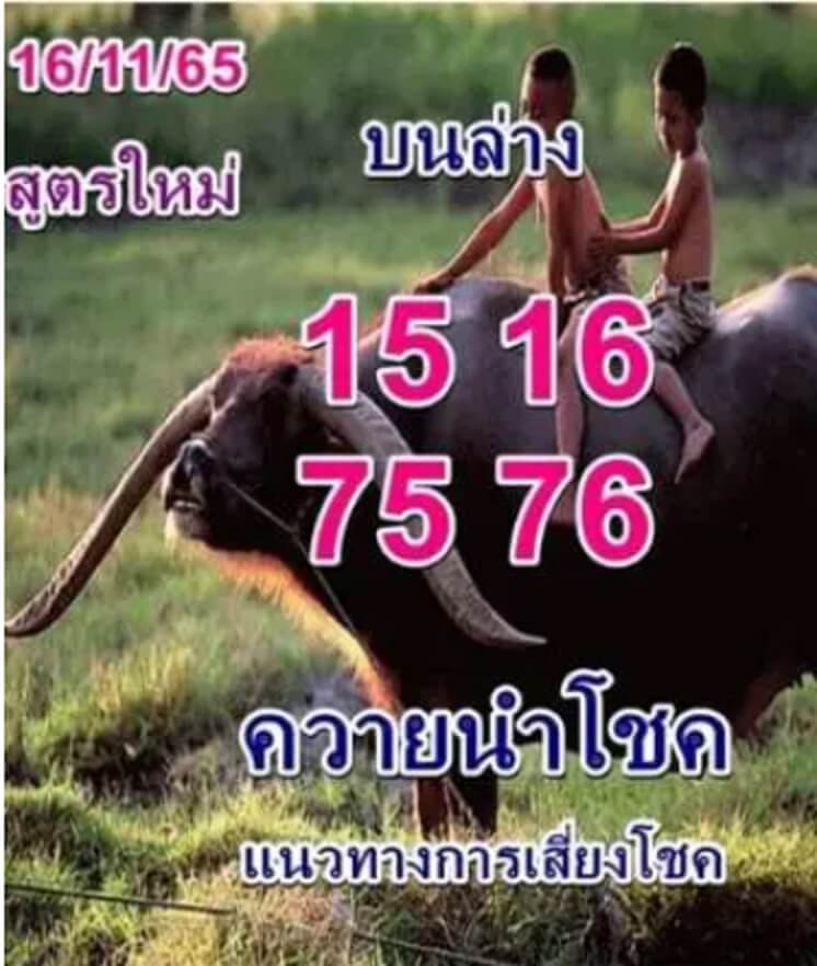 เลขเด็ดงวดนี้ หวยควายนำโชค1-12-65