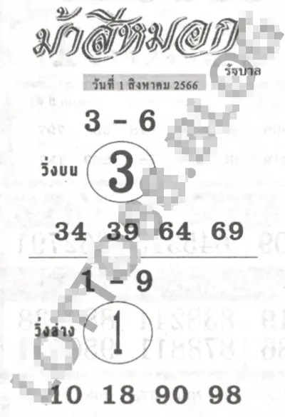 เลขม้าสีหมอก 31-7-66