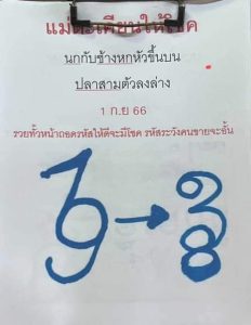 หวยกุมารทองให้โชค 1-9-66